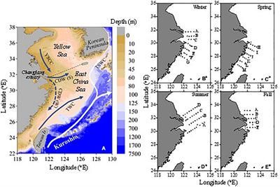 Seasonal Variability and Future Projection of Ocean Acidification on the East China Sea Shelf off the Changjiang Estuary